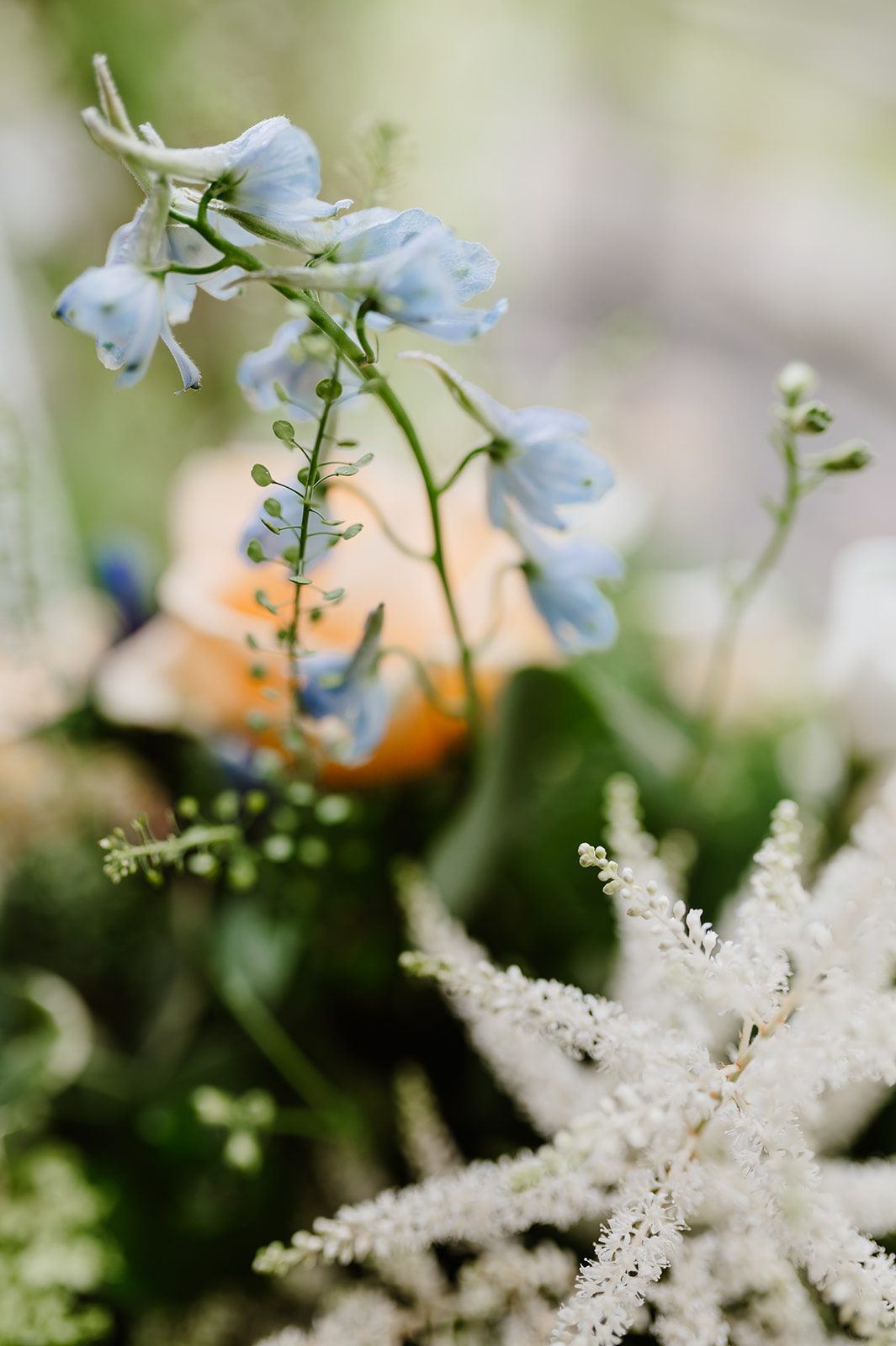 Blue flowers from venue decorations