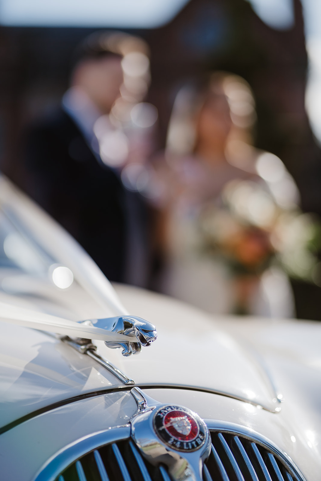 Jaguar detail on wedding car