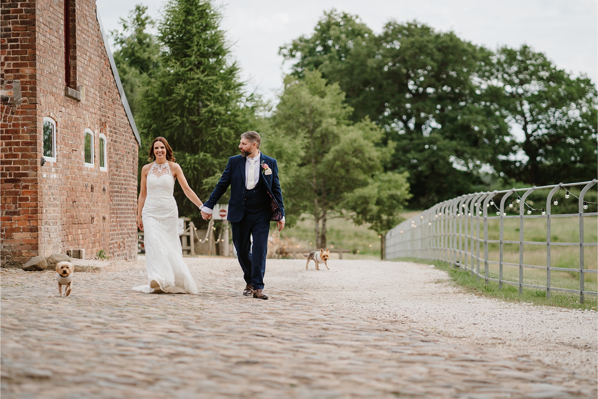 Bride and groom walk holding hands with their dogs at Stock Farm Barn Wedding Venue